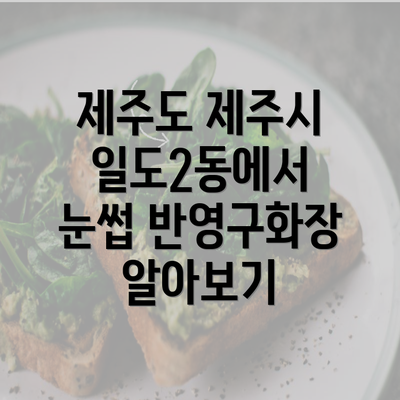 제주도 제주시 일도2동에서 눈썹 반영구화장 알아보기