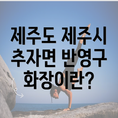 제주도 제주시 추자면 반영구 화장이란?