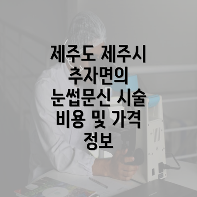 제주도 제주시 추자면의 눈썹문신 시술 비용 및 가격 정보