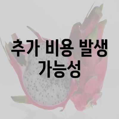 추가 비용 발생 가능성