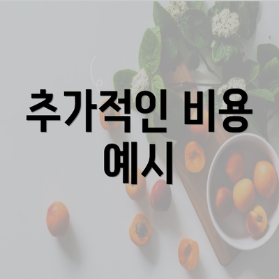 추가적인 비용 예시