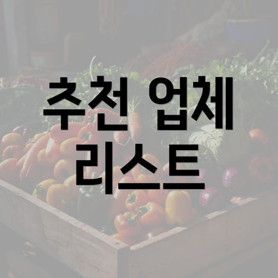 추천 업체 리스트