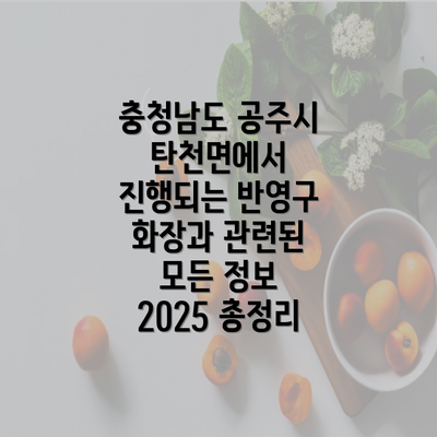 충청남도 공주시 탄천면에서 진행되는 반영구 화장과 관련된 모든 정보 2025 총정리