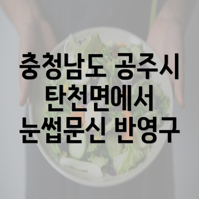 충청남도 공주시 탄천면에서 눈썹문신 반영구