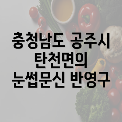 충청남도 공주시 탄천면의 눈썹문신 반영구