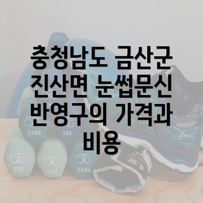 충청남도 금산군 진산면 눈썹문신 반영구의 기본 정보