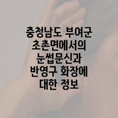 충청남도 부여군 초촌면에서의 눈썹문신과 반영구 화장에 대한 정보