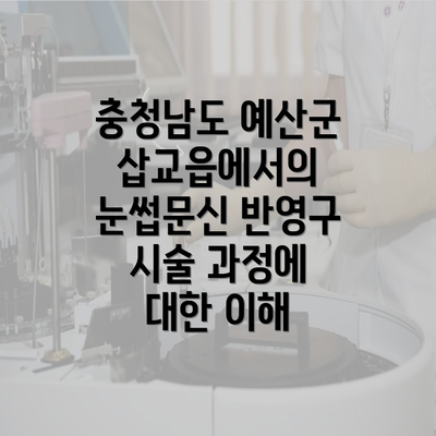 충청남도 예산군 삽교읍에서의 눈썹문신 반영구 시술 과정에 대한 이해