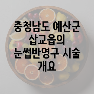 충청남도 예산군 삽교읍의 눈썹반영구 시술 개요