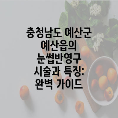 충청남도 예산군 예산읍의 눈썹반영구 시술과 특징: 완벽 가이드