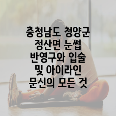 충청남도 청양군 정산면 눈썹 반영구와 입술 및 아이라인 문신의 모든 것