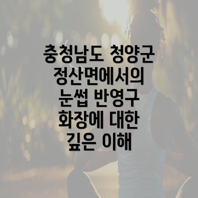 충청남도 청양군 정산면에서의 눈썹 반영구 화장에 대한 깊은 이해