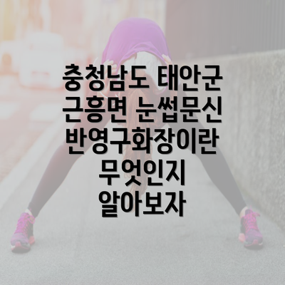 충청남도 태안군 근흥면 눈썹문신 반영구화장이란 무엇인지 알아보자