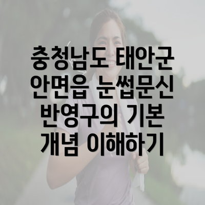 충청남도 태안군 안면읍 눈썹문신 반영구의 기본 개념 이해하기