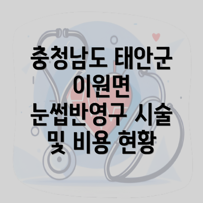 충청남도 태안군 이원면 눈썹반영구 시술 및 비용 현황