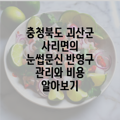 충청북도 괴산군 사리면의 눈썹문신 반영구 관리와 비용 알아보기