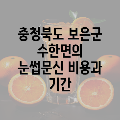 충청북도 보은군 수한면의 눈썹문신 비용과 기간