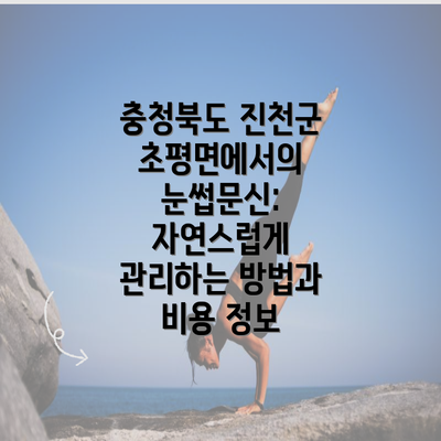 충청북도 진천군 초평면에서의 눈썹문신: 자연스럽게 관리하는 방법과 비용 정보