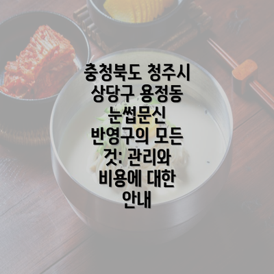 충청북도 청주시 상당구 용정동 눈썹문신 반영구의 모든 것: 관리와 비용에 대한 안내