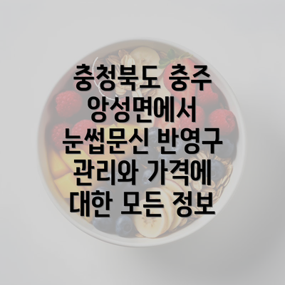 충청북도 충주 앙성면에서 눈썹문신 반영구 관리와 가격에 대한 모든 정보