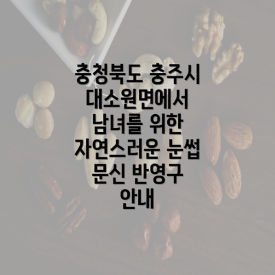 충청북도 충주시 대소원면에서 남녀를 위한 자연스러운 눈썹 문신 반영구 안내