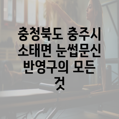 충청북도 충주시 소태면 눈썹문신 반영구의 모든 것