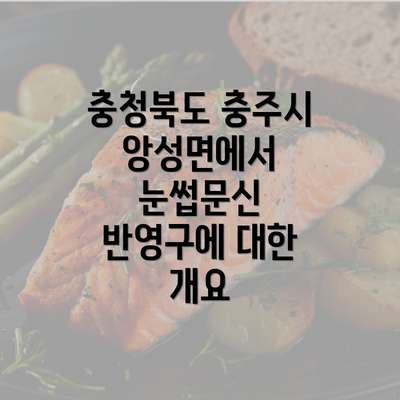 충청북도 충주시 앙성면에서 눈썹문신 반영구에 대한 개요