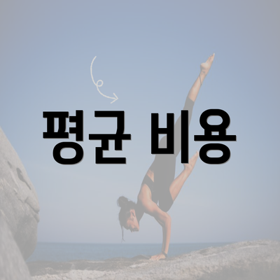 평균 비용