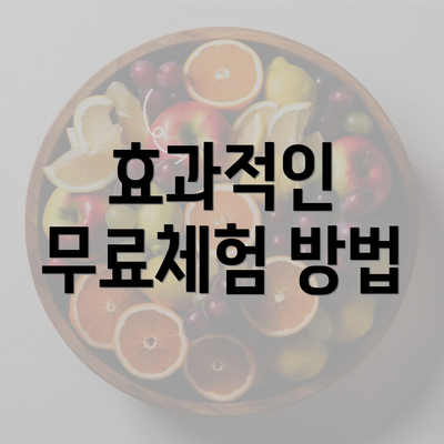 효과적인 무료체험 방법