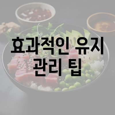 효과적인 유지 관리 팁