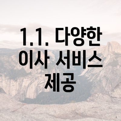 1.1. 다양한 이사 서비스 제공