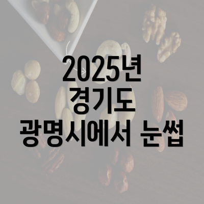 2025년 경기도 광명시에서 눈썹