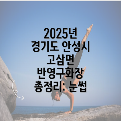 2025년 경기도 안성시 고삼면 반영구화장 총정리: 눈썹