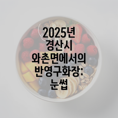 2025년 경산시 와촌면에서의 반영구화장: 눈썹