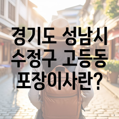 경기도 성남시 수정구 고등동 포장이사란?