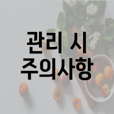 관리 시 주의사항