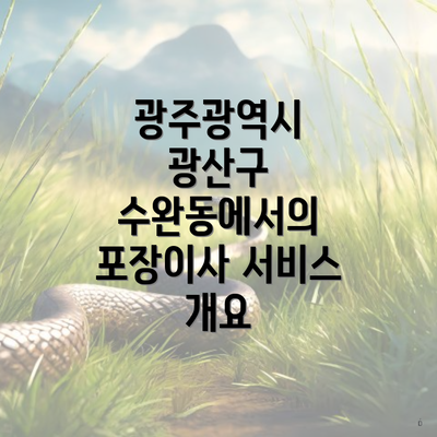 광주광역시 광산구 수완동에서의 포장이사 서비스 개요