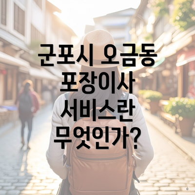 군포시 오금동 포장이사 서비스란 무엇인가?