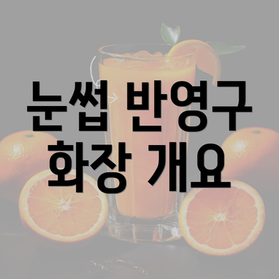 눈썹 반영구 화장 개요