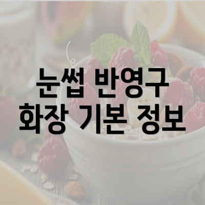 눈썹 반영구 화장 기본 정보