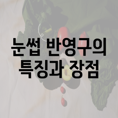 눈썹 반영구의 특징과 장점