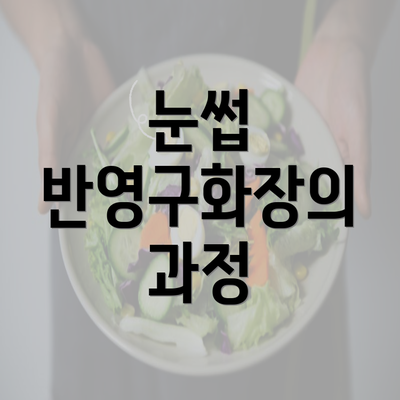 눈썹 반영구화장의 과정