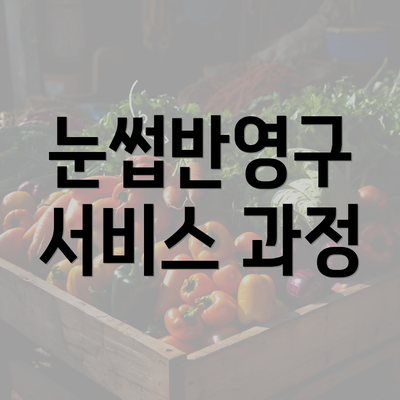 눈썹반영구 서비스 과정