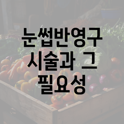 눈썹반영구 시술과 그 필요성