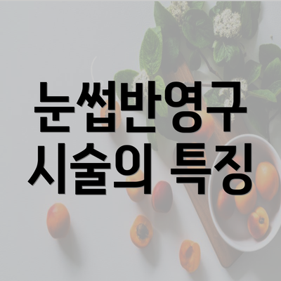 눈썹반영구 시술의 특징