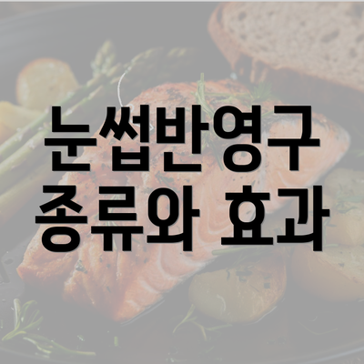 눈썹반영구 종류와 효과