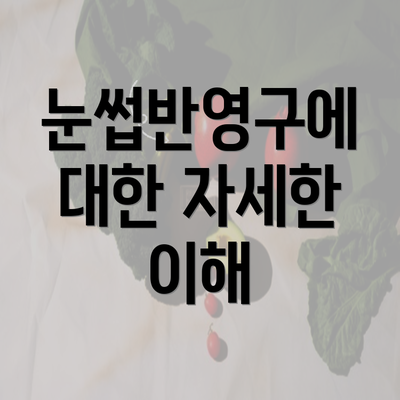 눈썹반영구에 대한 자세한 이해