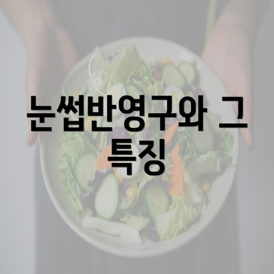 눈썹반영구와 그 특징