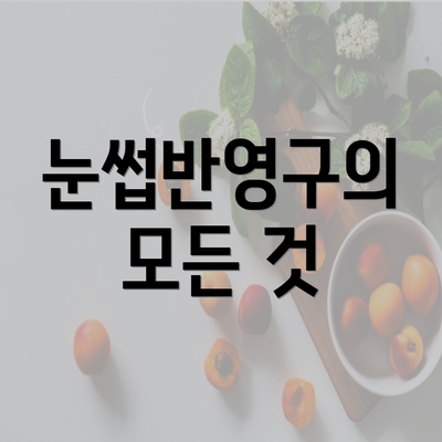 눈썹반영구의 모든 것