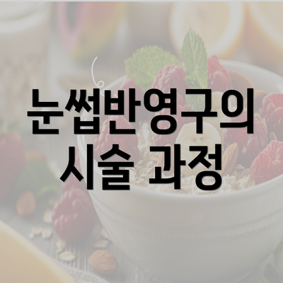 눈썹반영구의 시술 과정